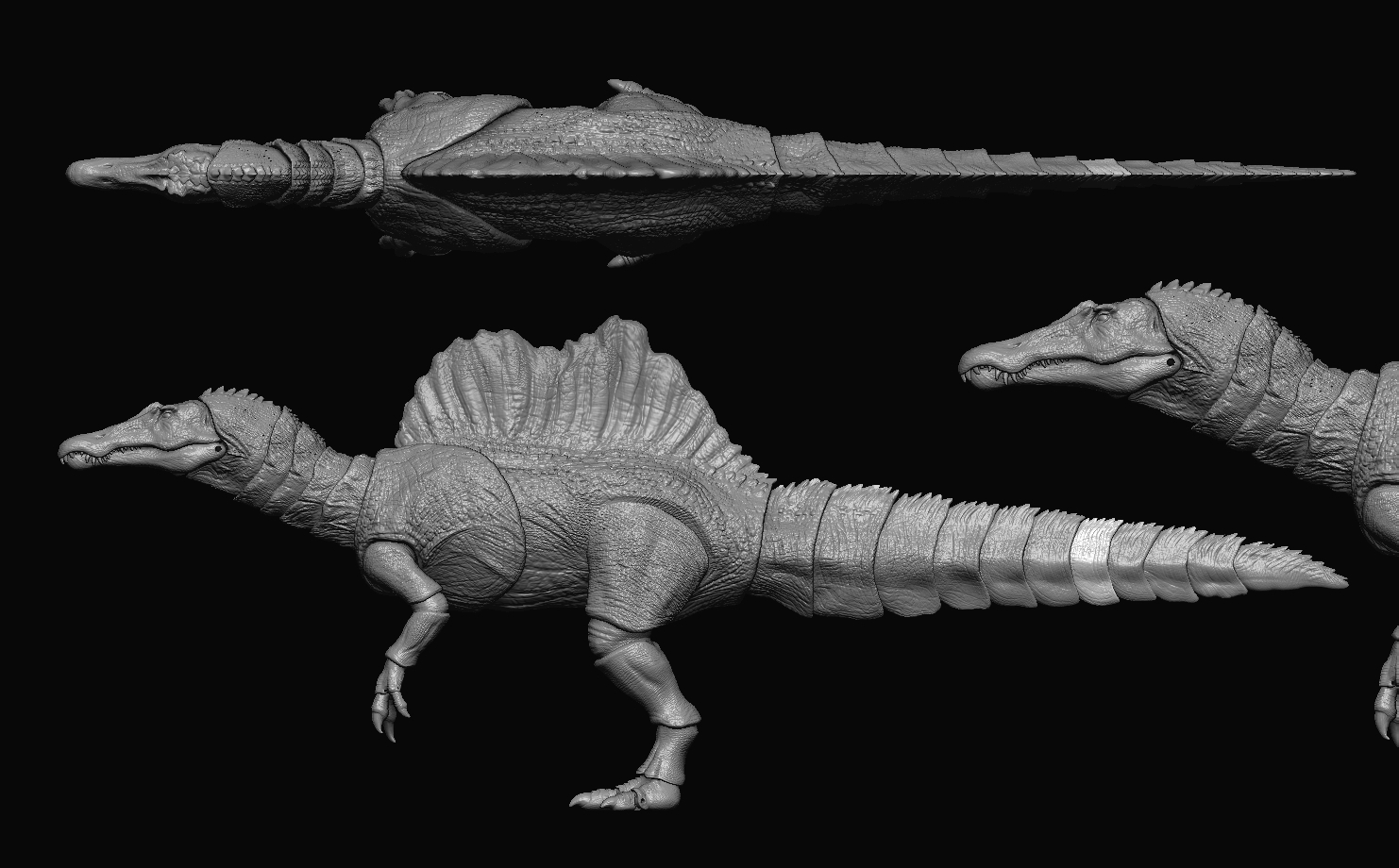 spinosaurus femmina 3D print model - Mito3D