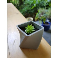 spirale pentola gadget piante pianta mangia la ceramica La stampa 3d carino 3d print model - Mito3D