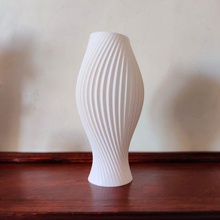 espiral vaso Projeto orgânico 3d print model - Mito3D