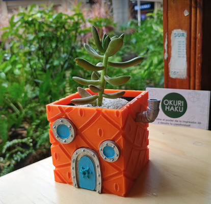 spugna mare casa pentola carattere matita titolare supporto impianti colore regalo personalizzato piante grasse cactus 3d print model - Mito3D