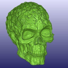 spook cráneo 3d scan hueco art Escaneo digitalizador makerbotdigitizer el las exploraciones de réplicas 3d print model - Mito3D