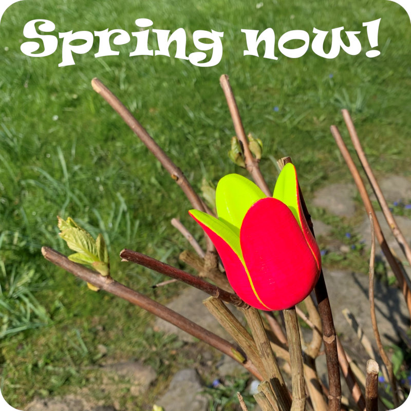 spring flower tulip garden summer decoration 3D print model - Mito3D