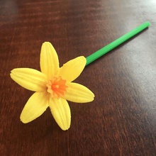 primavera narcisi vari bloom nel caso di un fiore la lampadina decorazione floreale narciso petali 3d print model - Mito3D