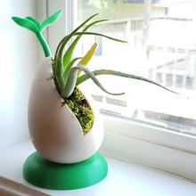 sprout self-watering desktop planter small plants succulents art pod seed vase 3d print model - Mito3D