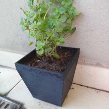 square pot house garden plants orchards flowerpot pots balcony land accessory nature 3d print model - Mito3D