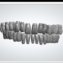 square teeth 3d print model - Mito3D
