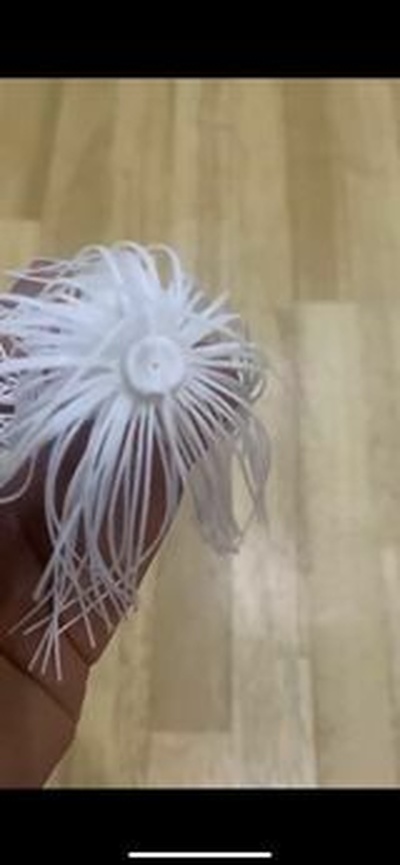calamaro adescare 3d print model - Mito3D