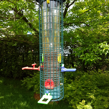 ardilla buster comederos de aves actualizaciones casa las mascotas comedero pájaros birdfeeder 3d print model - Mito3D