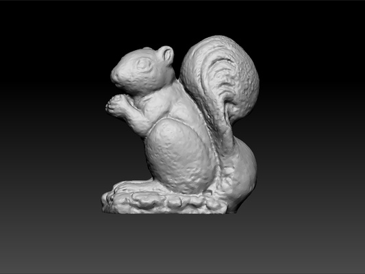 esquilo realista 3d impressão decorativo squirrel brinquedo on escrivaninha teste modelo surpreendente animal real beleza lindo brilhante realeza 3d print model - Mito3D