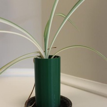 stacking spider plant pot home container plants 3d print model - Mito3D