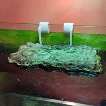 colchetes ilha flutuando tartarugas aquário tartaruga animais estimação 3d print model - Mito3D
