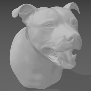 staffordshire Toro terrier testa fallimento cane gatto animale arte Basso poli Tedesco pastore d'oro retriever 3d print model - Mito3D