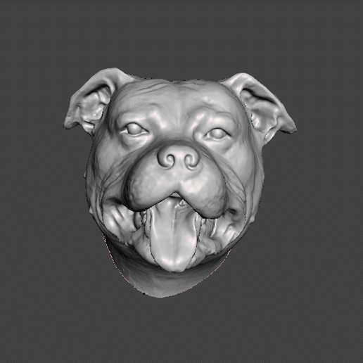 Stafforshire taureau terrier personnel pitbull chien obj stl tête Bull stafforshirebullterrier stafford staffys chiens Personnel 3D print model - Mito3D