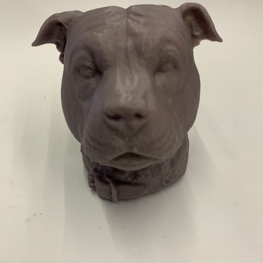Stafforshire toro terrier personal pitbull perro cabeza Bull stafforshirebullterrier Stafford stafy staffys perros americanstafford 3D print model - Mito3D