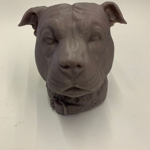 stafforshire bull terrier staffy pitbull dog head bullterrier stafforshirebullterrier stafford staford stafy staffys dogs staf americanstafford 3D print model - Mito3D