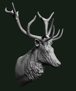 cerf buste tête animal cornes mammifère statue faune nature wapiti Noël bois renne queue blanche chasseur 3d print model - Mito3D
