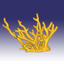 mercan yaygındır sanat resif coralreef deniz hayvan akvaryum 3d print model - Mito3D