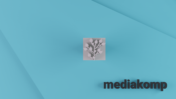 Stempel Keramik Handwerk Werkzeuge Laub Blumen Medienkomp Muster Lehm 3d print model - Mito3D