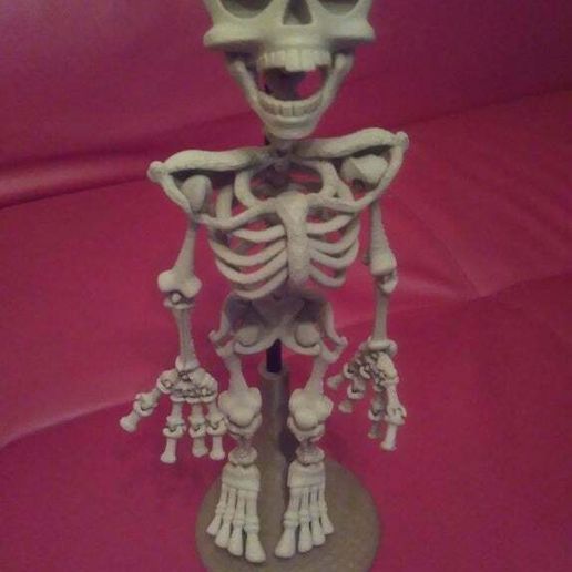 stand davision3d skeleton construction_toys 3D print model - Mito3D