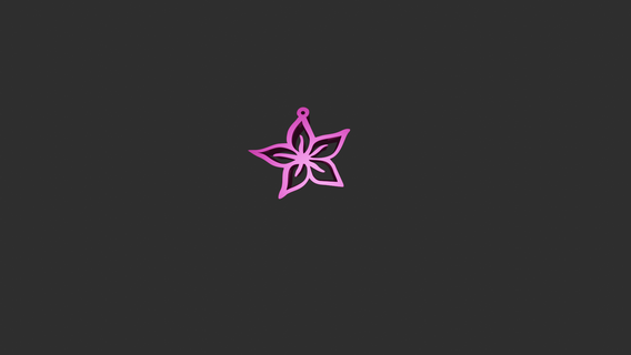 star flower star flower  3d print model - Mito3D