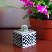 star spettro fioriera casa indoor-fioriera succulente-fioriera succulente fioriere cactus piante grasse 3d print model - Mito3D