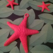 starfish jewelry sea pla pendant earrings decoration 3d print model - Mito3D