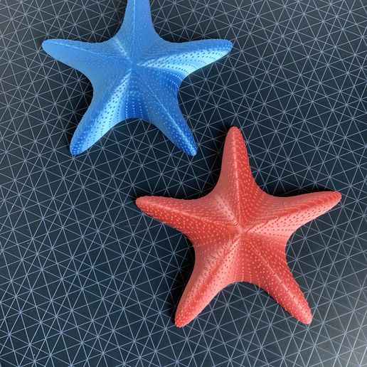 starfish 3D print model - Mito3D