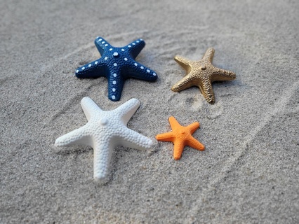 estrela Mar decoração banheiro marítimo água aquário praia brinquedos natureza peixes mar 1 peça 3d print model - Mito3D