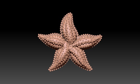 stella marina collana 3d print model - Mito3D
