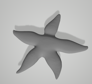 denizyıldızı Sanat hayvanlar 3d print model - Mito3D