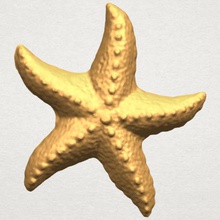 starfish 03 vari 3d print model - Mito3D