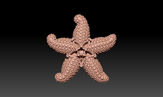 starfish model Jewelry necklace 3d print model - Mito3D
