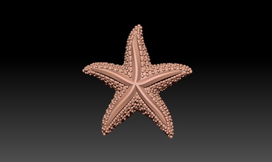 starfish necklace Jewelry 3d print model - Mito3D