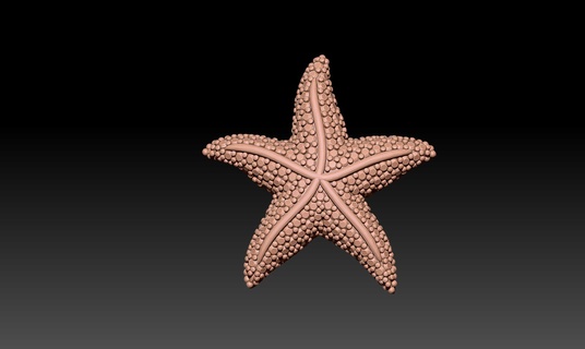 starfish pattern necklace 3d print model - Mito3D