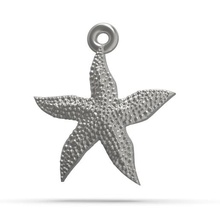 estrela-do-mar soberba jóias pingentes medalhão oceano estrela do mar grande bonita jóia printable de aço metalizado metal sterling platina prata ouro pingente 3d print model - Mito3D