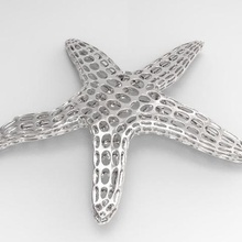 starfish voronoi jewelry pattern print 3d print model - Mito3D
