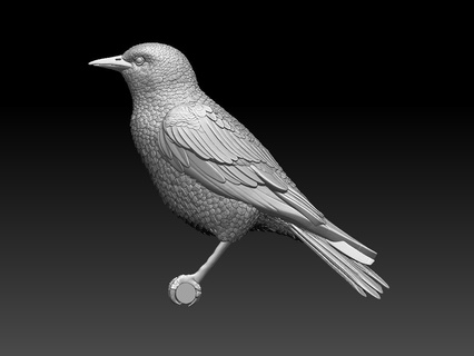 storno arte uccello becco piume volo Ali colibri sculture ronzio scultura colibrì Stampa bianca 3d print model - Mito3D