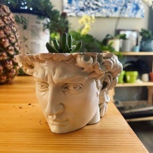 statua david fioriera pentola moderno arte vasaio pothead 3d print model - Mito3D