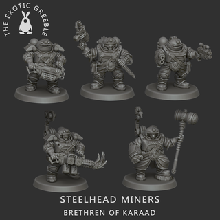 steelhead miners war hammer 42k space dwarf squat hive city dwarves brethren karaad prospectors 3d print model - Mito3D