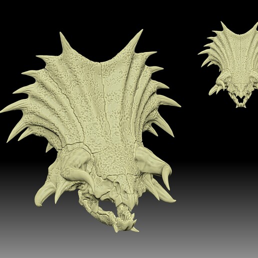 stegyceratops kafatası model 3D print model - Mito3D