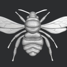stl models 3d printing cnc bee bumblebee wasp insect honey animal wings flight bite 3d print model - Mito3D