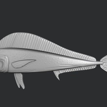 stl models 3d printing cnc dolphin fish clown ocean sea fins scales shape wood 3d print model - Mito3D