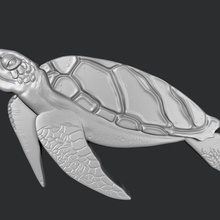 stl models 3d printing cnc turtle jewelry marine life sea ocean algae shell scales 3d print model - Mito3D
