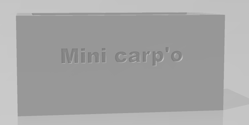 storage box mini-carp'o 3d print model - Mito3D