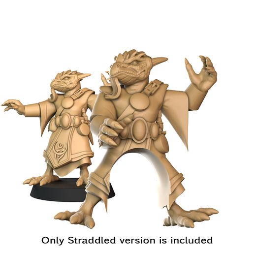 straddling dragonborn wizard version saddled beasts 3D print model - Mito3D