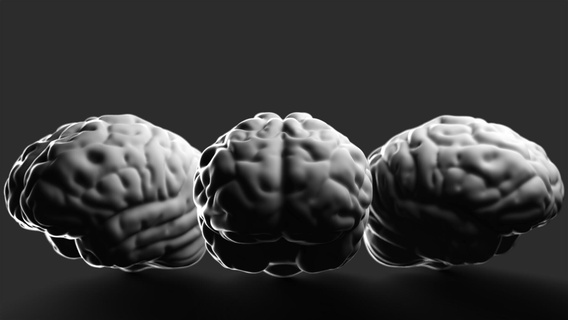 stilisiert Gehirn 3d print model - Mito3D