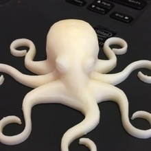 stylized octopus animal 3d print model - Mito3D