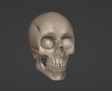 stylized skull cranium skeleton 3d print model - Mito3D