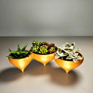 succulenta folletto pentole fioriera nosupports 3dprintbunny regalo 3d print model - Mito3D