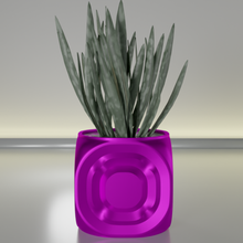 succulent plante pot 20 cactus flore feuille fleur aloès croissance botanique bol décoration vaisselle jardinage Accueil maison bureau vase décor 3d print model - Mito3D